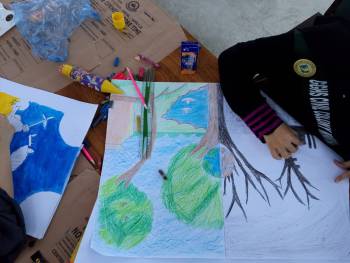 Science Essay and Poster Competition